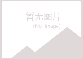 榆林晓夏咨询有限公司